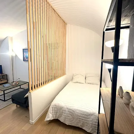 Vieux Coulee Verte * Nice